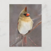 Mooie stel briefkaart (Voorkant)