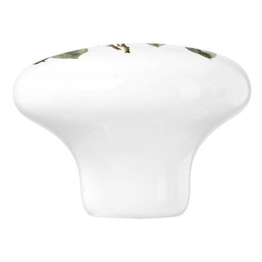 Mooie stengels van rode rozen keramische knop (Zijkant)