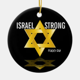 Mooie ster van David Keramisch Ornament