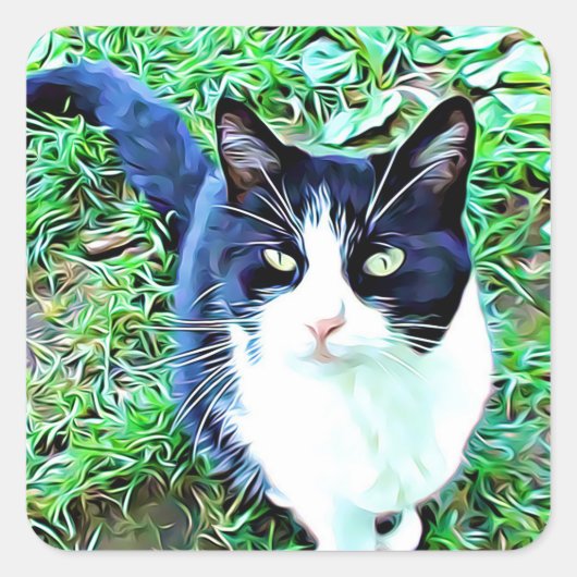 Mooie Stickers met zwarte en witte kat (Voorkant)