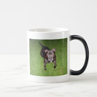 Mooie stier magische mok