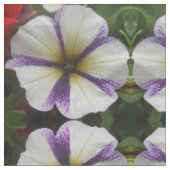 Mooie Stof (Close Up)