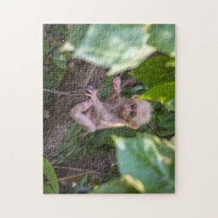 Mooie stommeling Macaque Legpuzzel