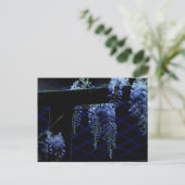 Mooie Strange Blue Lavender Wisteria Night Briefkaart (Staand voorkant)