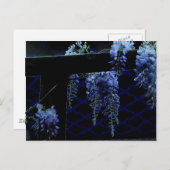 Mooie Strange Blue Lavender Wisteria Night Briefkaart (Voorkant / Achterkant)