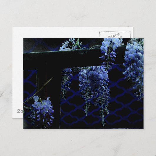 Mooie Strange Blue Lavender Wisteria Night Briefkaart (Voorkant / Achterkant)