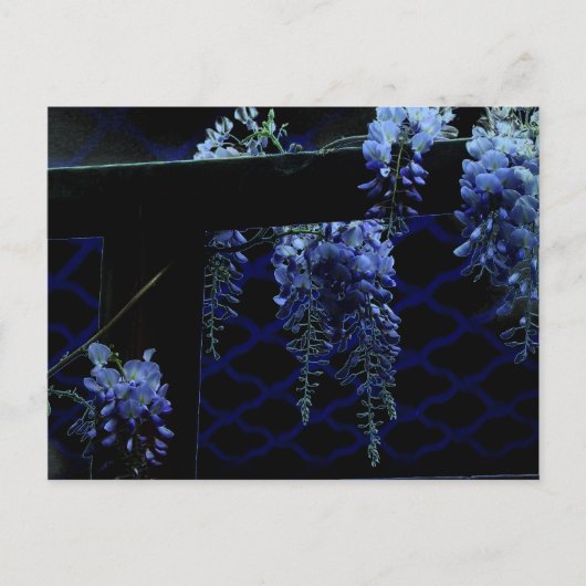 Mooie Strange Blue Lavender Wisteria Night Briefkaart (Voorkant)