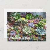 Mooie successen briefkaart (Voorkant / Achterkant)