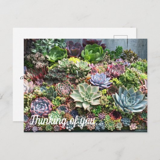 Mooie successen briefkaart (Voorkant / Achterkant)