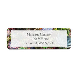 Mooie successen etiket