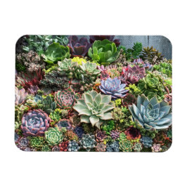 Mooie successen magneet