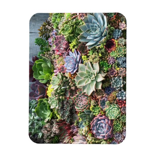 Mooie successen magneet (Verticaal)