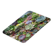 Mooie successen magneet (Linkerzijde)