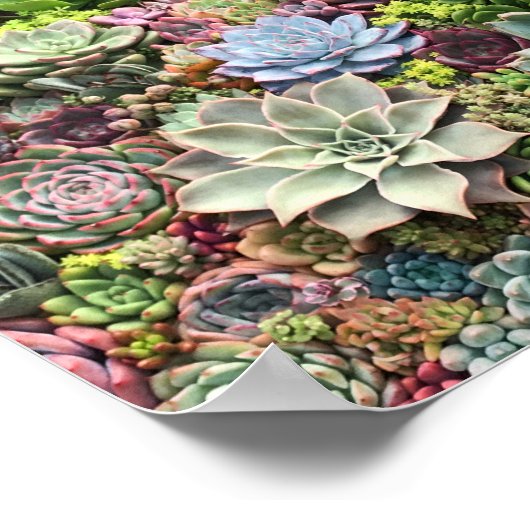 Mooie successen poster (Hoek)