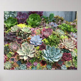 Mooie successen poster