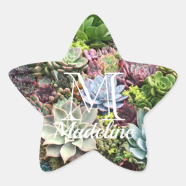 Mooie successen ster sticker