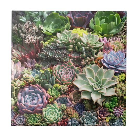 Mooie successen tegeltje (Voorkant)