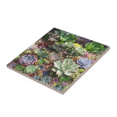 Mooie successen tegeltje (Zijkant)