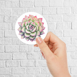 Mooie Succulent Flower Waterverf Ronde Sticker