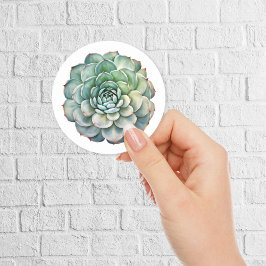 Mooie Succulent Flower Waterverf Ronde Sticker