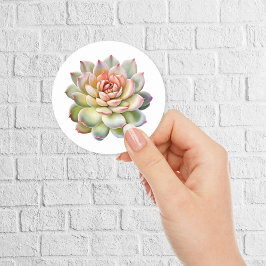 Mooie Succulent Flower Waterverf Ronde Sticker