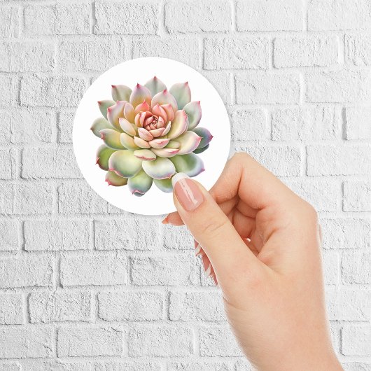 Mooie Succulent Flower Waterverf Ronde Sticker