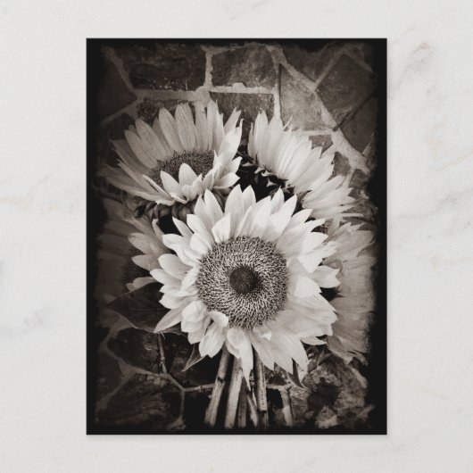 Mooie Sunflower Bouquet Foto in zwart-wit Briefkaart (Voorkant)