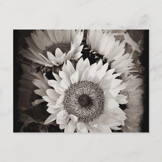 Mooie Sunflower Bouquet Foto in zwart-wit Briefkaart (Voorkant)