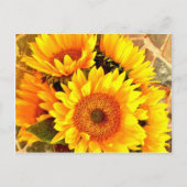 Mooie Sunflower Bouquet Gifts Briefkaart (Voorkant)