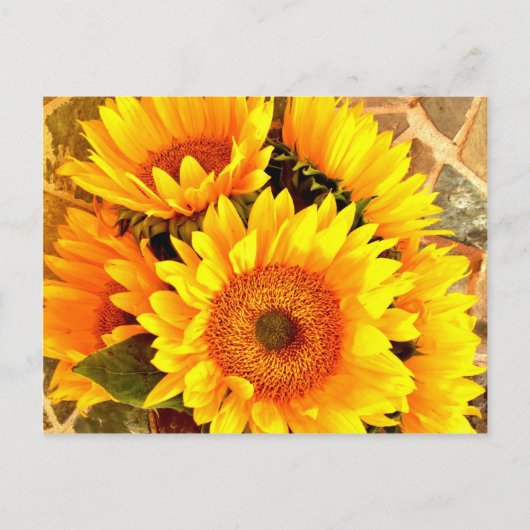 Mooie Sunflower Bouquet Gifts Briefkaart (Voorkant)