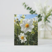 Mooie Sunny White Dahlia Flowers DIY Briefkaart (Staand voorkant)