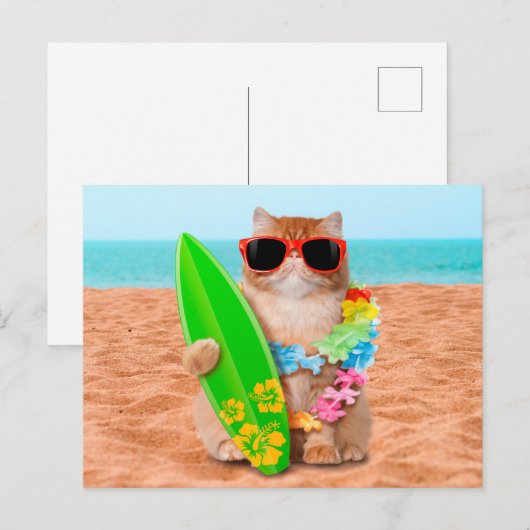 Mooie surferkat op het strand briefkaart (Voorkant / Achterkant)