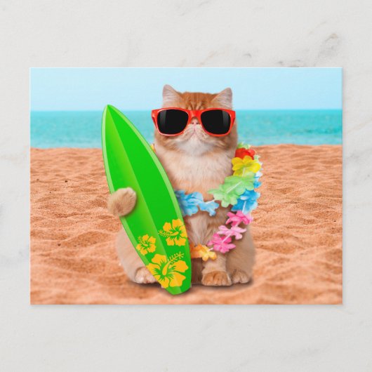 Mooie surferkat op het strand briefkaart (Voorkant)