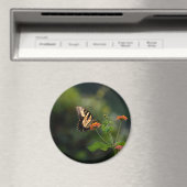 Mooie Swallowtail vlinder Magneet (Insitu (Vaatwasser))