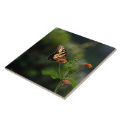 Mooie Swallowtail vlinder Tegeltje (Zijkant)