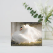 Mooie Swan Post Card Briefkaart (Staand voorkant)