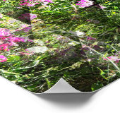 Mooie Sweetpeas.... Poster (Hoek)