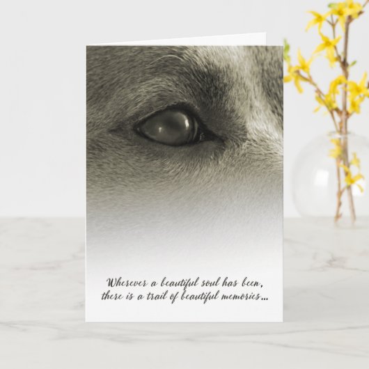 Mooie sympathie voor Soul Dog - zie beschrijving Kaart (Gele Bloem)