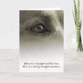 Mooie sympathie voor Soul Dog - zie beschrijving Kaart