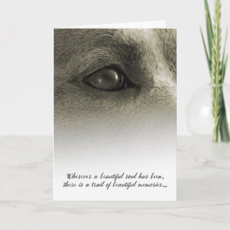 Mooie sympathie voor Soul Dog - zie beschrijving Kaart