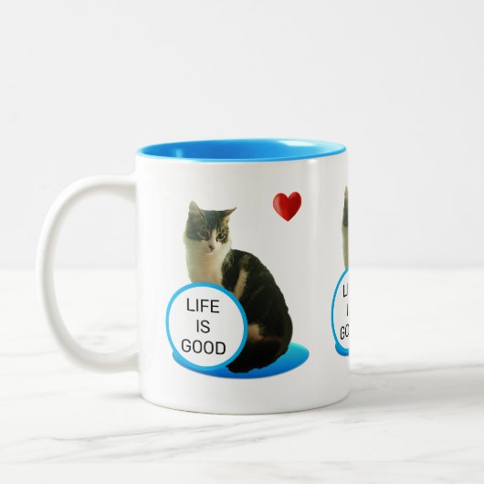Mooie Tabby Kat & Hart Tweekleurige Koffiemok (Links)