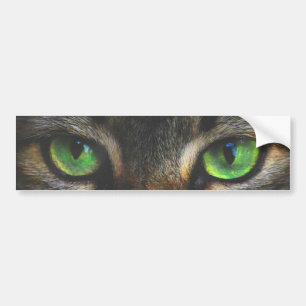 Mooie tabby kat ogen bumpersticker