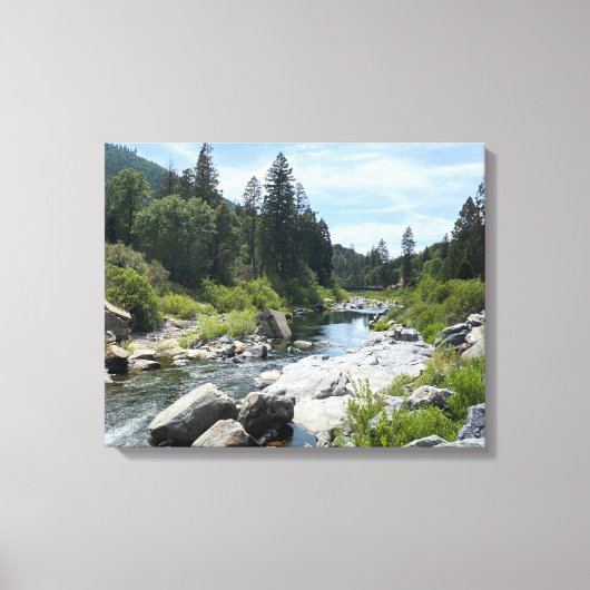 Mooie Tahoe-schildpad Canvas Afdruk (Voorkant)