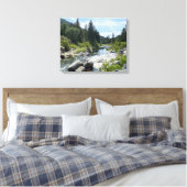 Mooie Tahoe-schildpad Canvas Afdruk (Insitu (Slaapkamer))