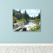 Mooie Tahoe-schildpad Canvas Afdruk (Insitu (Houten vloer))