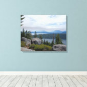 Mooie Tahoe-schildpad Canvas Afdruk (Insitu (Houten vloer))