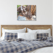 Mooie Tahoe-schildpad Canvas Afdruk (Insitu (Slaapkamer))