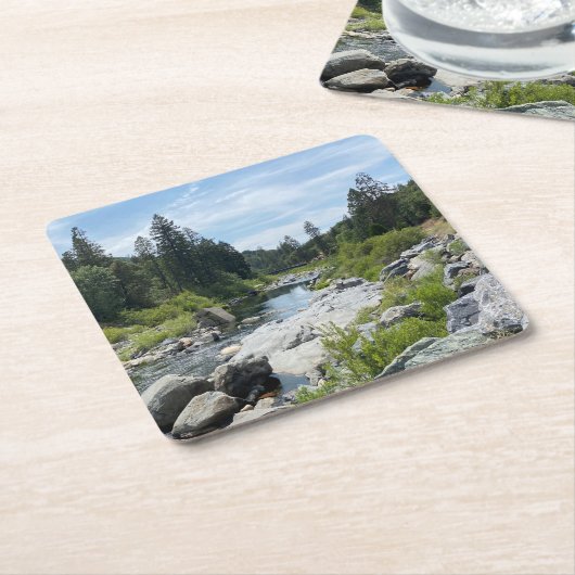 Mooie Tahoe-schildpad Kartonnen Onderzetters (Schuin)