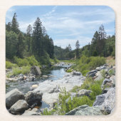 Mooie Tahoe-schildpad Kartonnen Onderzetters (Voorkant)