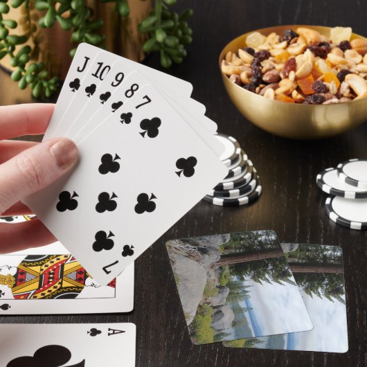 Mooie Tahoe-schildpad Pokerkaarten (Insitu)